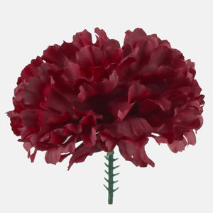 Burgundia