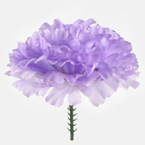 Helelilla