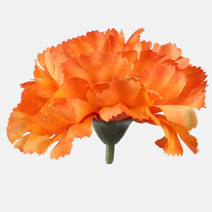 Oranž