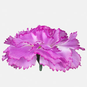 Kreem/violetne