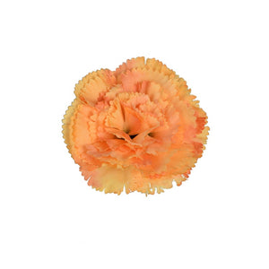Oranž