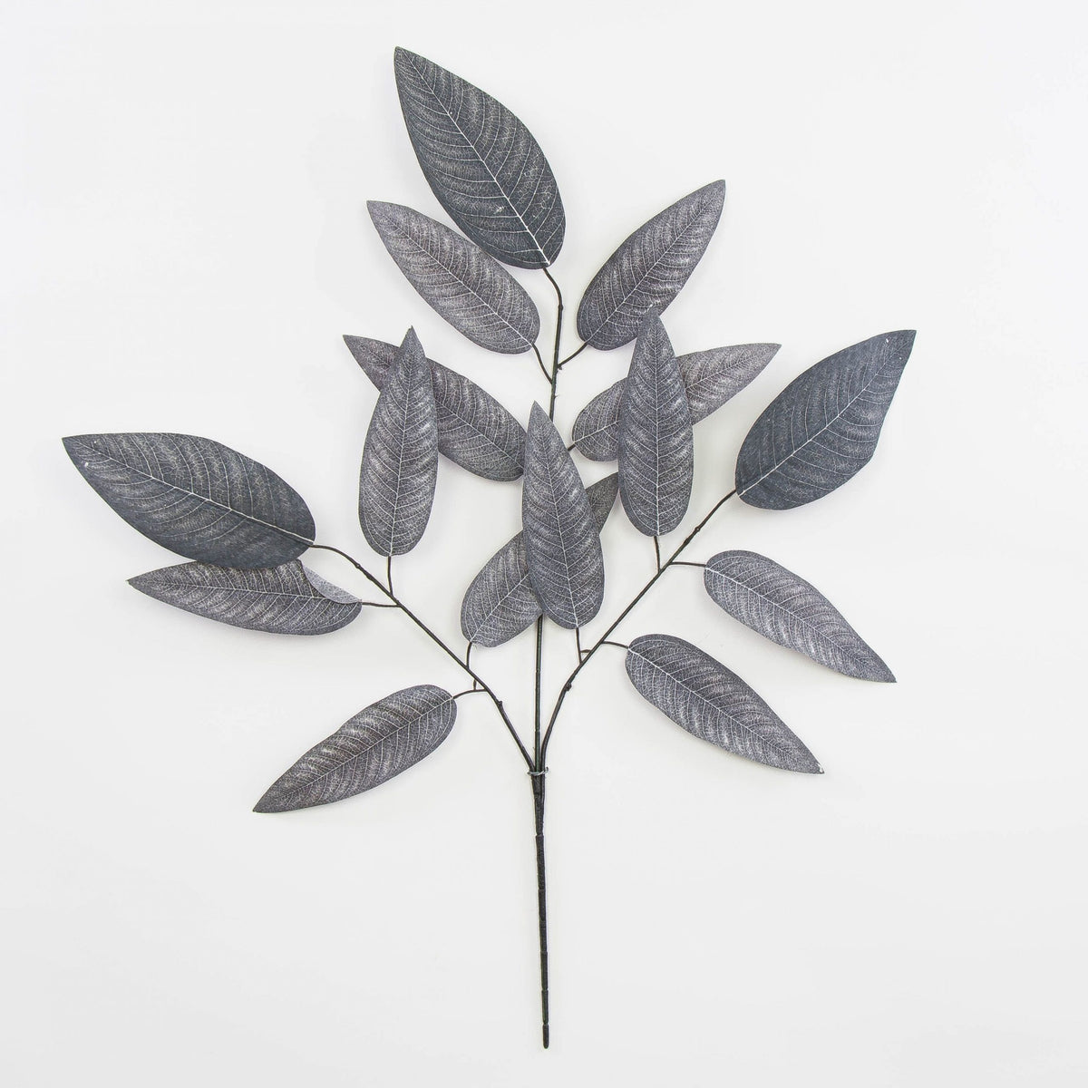 Harmaa mango – koristeoksa, 70 cm
