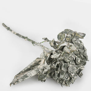 Roheline