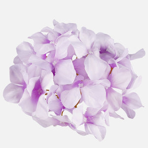 Helelilla