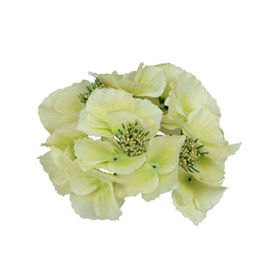 Heleroheline