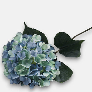 Heleroheline/sinine