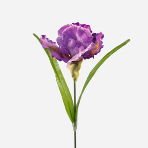 Lavendel