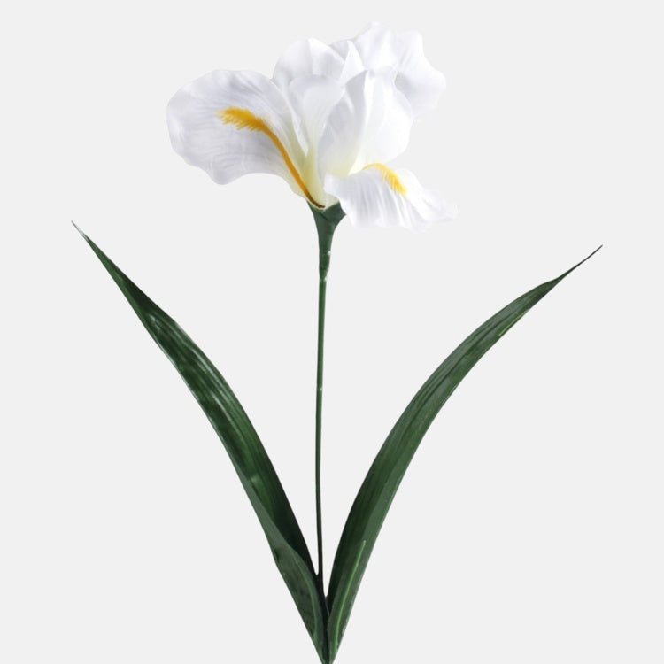Valge iri kunstlill 60 cm - Kunstlilled