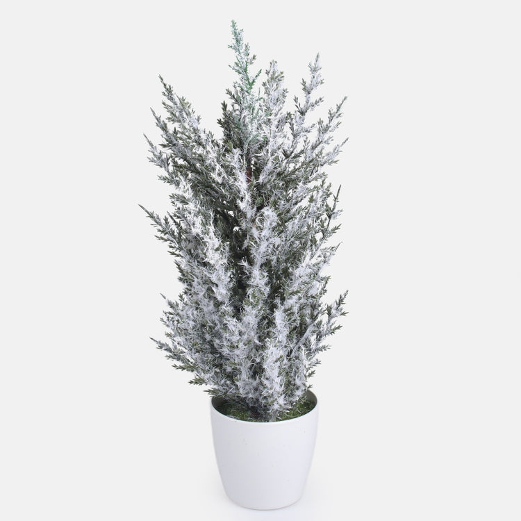 Lumega kaetud kadakas kunsttaim 30 cm - Kunstlilled
