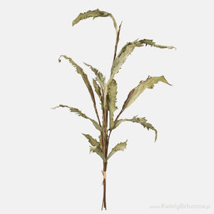 Roheline