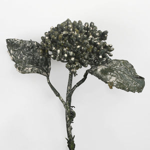 Roheline