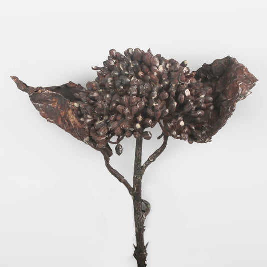 Burgundia lumekera kunstlilleoks 30 cm - Kunstlilled