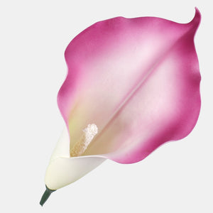 Lilla