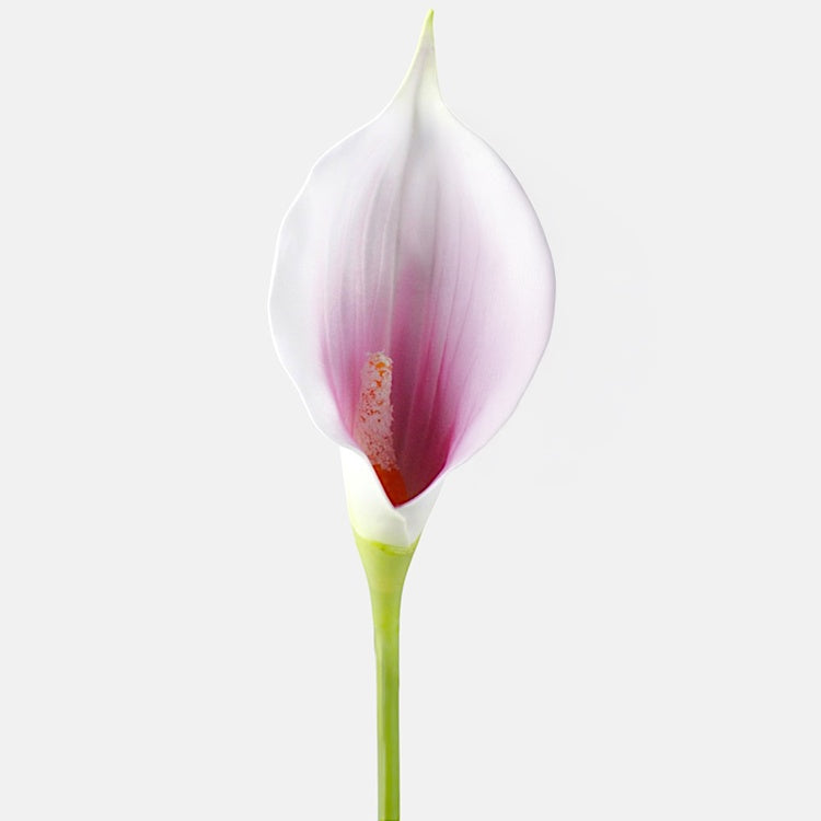 Lillavärvi kalla kunstlill 62 cm - Kunstlilled