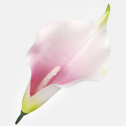 Kalla kunstlillepea helelilla-kreem 20 cm - Kunstlilled