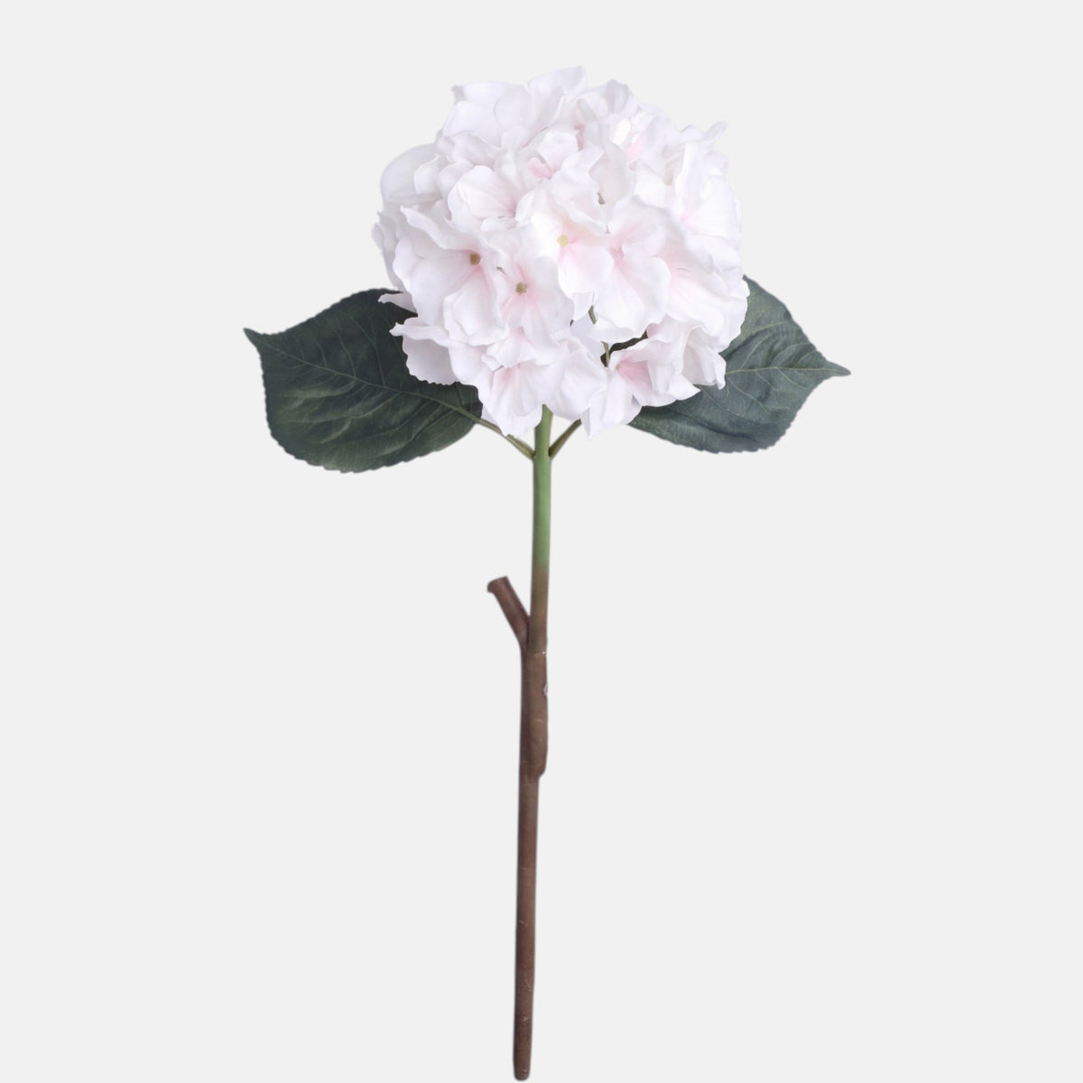 Kerma/persikka tekohortensian kukkavarsi, 60 cm