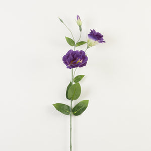 Kerma/Tumma/Violetti