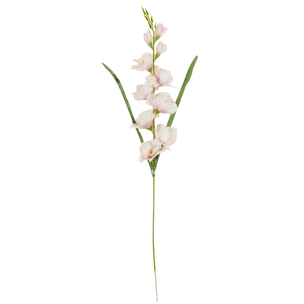 Kerma vaaleanpunainen gladiolus – tekokukka