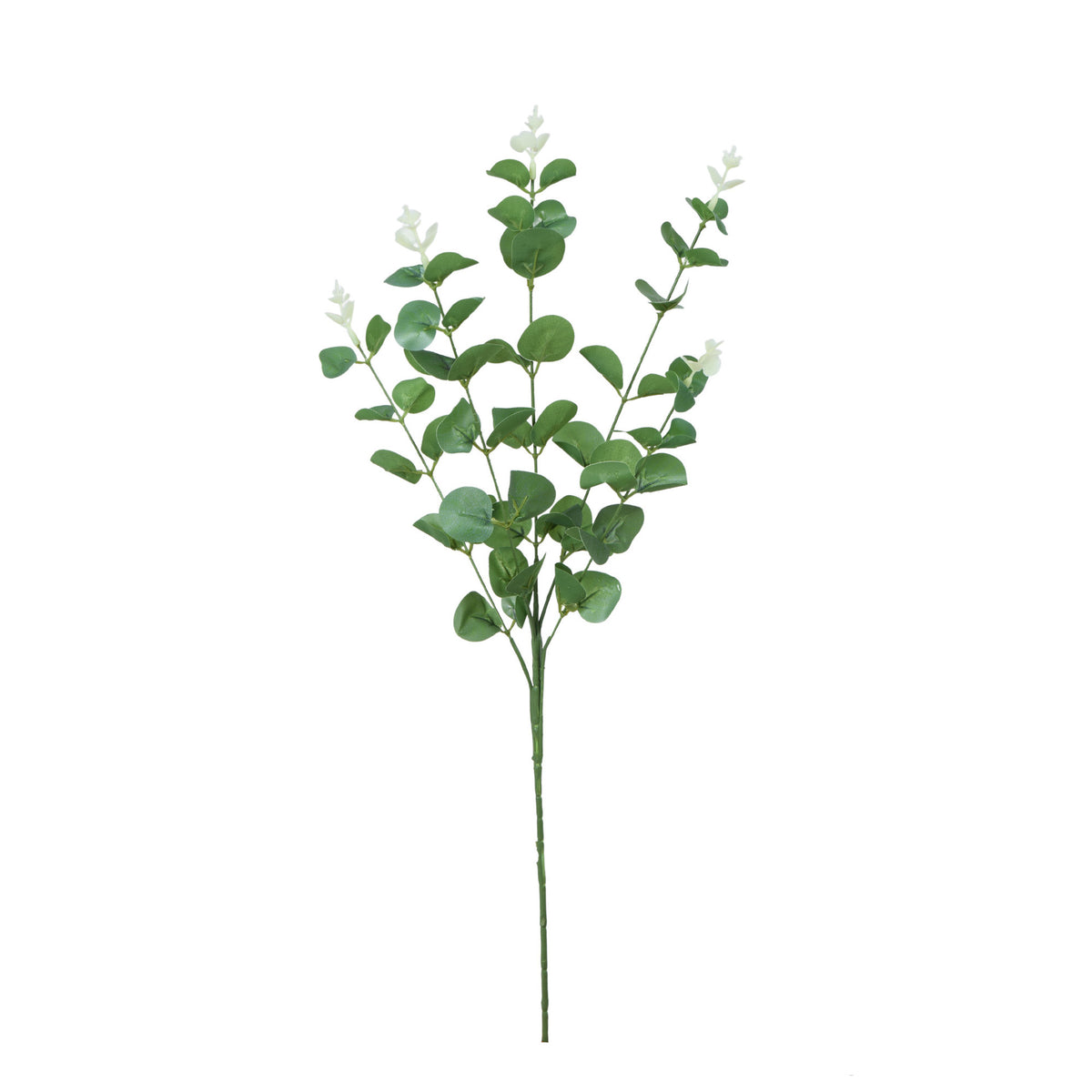 Kerma/vihreä eukalyptus – koristeoksa, 62 cm