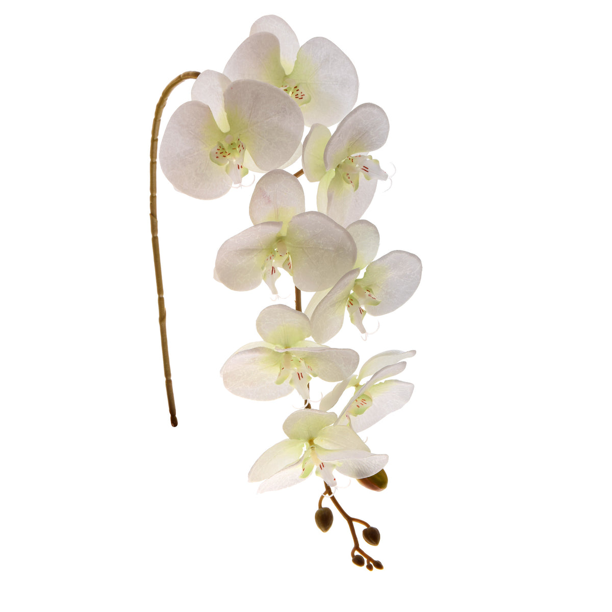 Kerma/vihreä tekoorkidean kukkavarsi, satiini, 92 cm