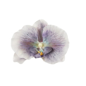 Kerma/Violetti