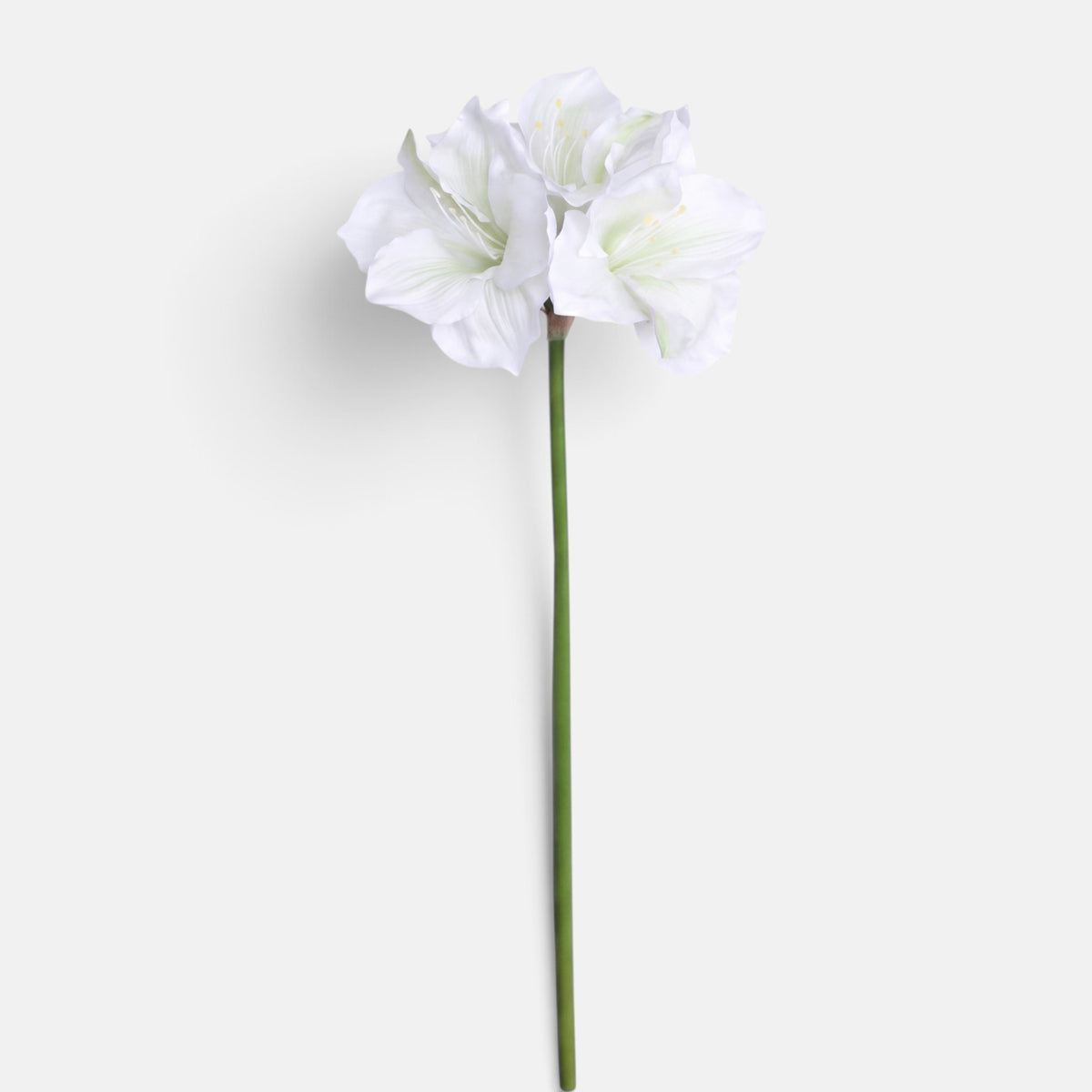 Kermanvärinen amaryllis – tekokukka, 82 cm
