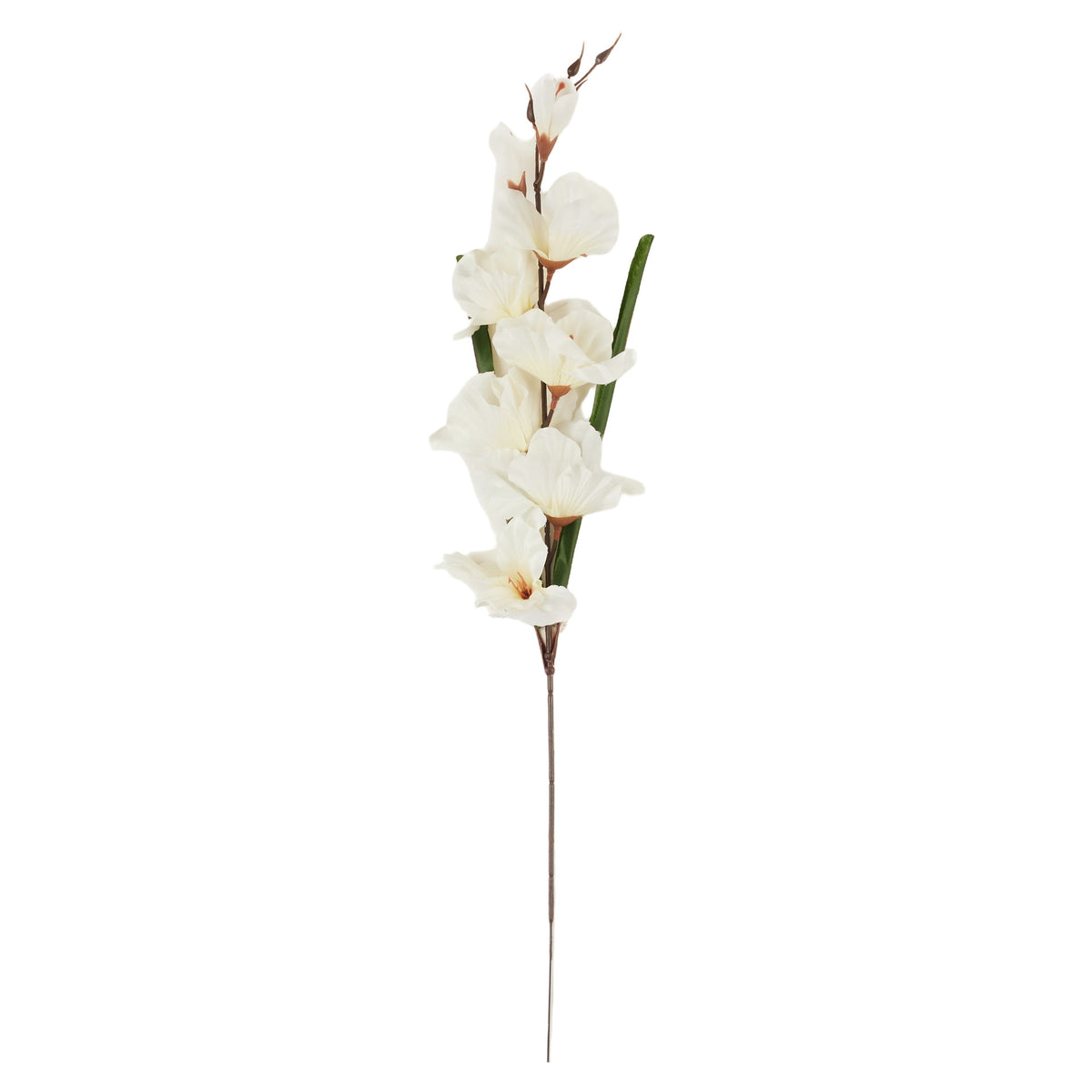 Kermanvärinen gladiolus – tekokukka
