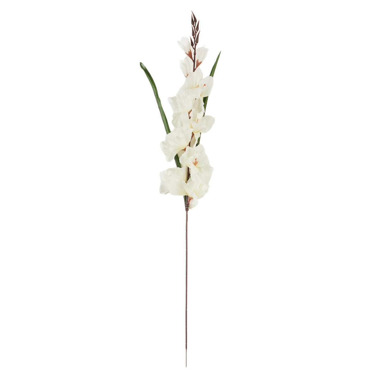 Kermanvärinen gladiolus – tekokukka