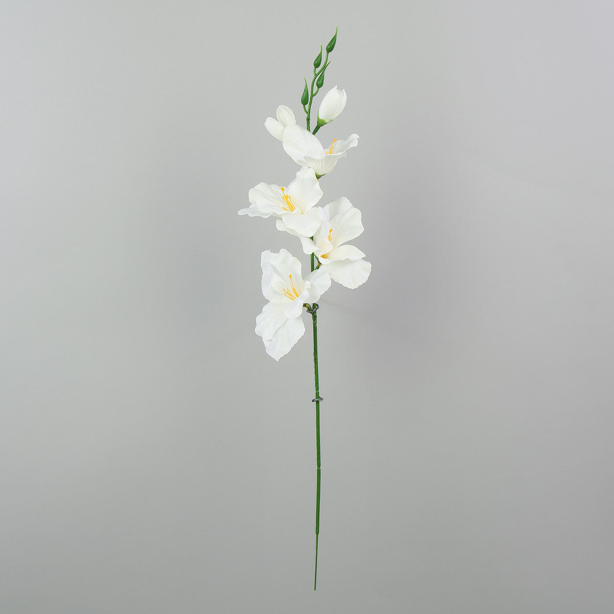 Kermanvärinen gladiolus – tekokukka, satiini