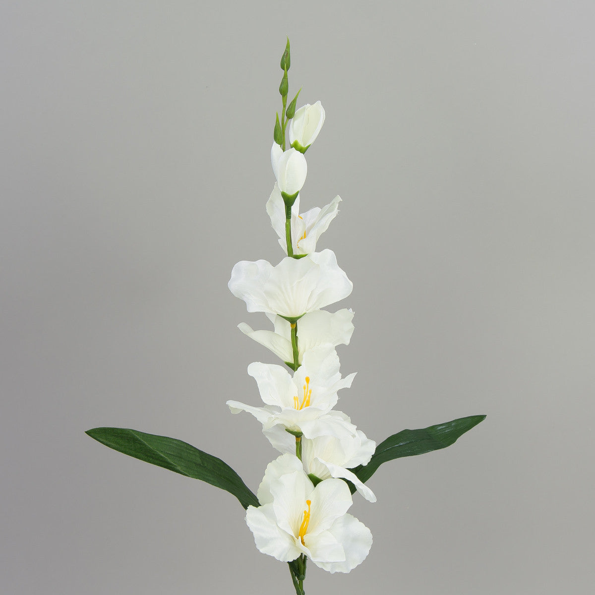 Kermanvärinen gladiolus – tekokukka, satiini