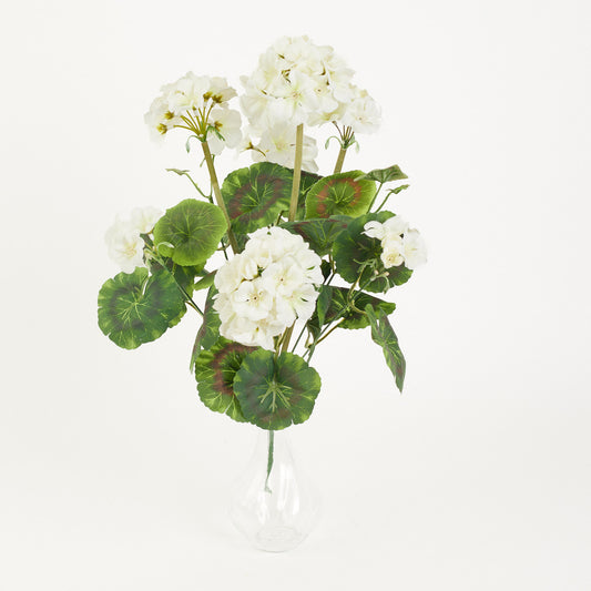 Kermanvärinen pelargoni – ruukkutekokasvi, 47 cm