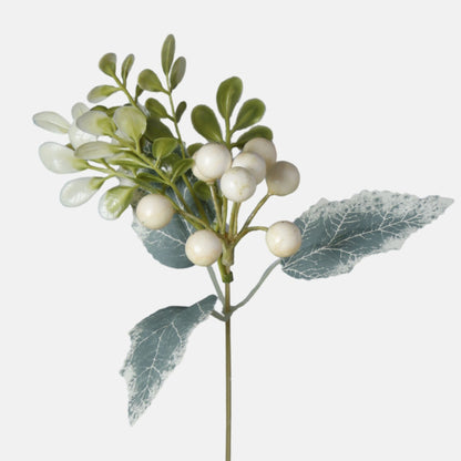 Kermanvärinen puksipensas – koristeoksa, 40 cm