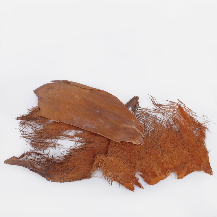 Kuivatatud palmikoor 250 g - Kunstlilled