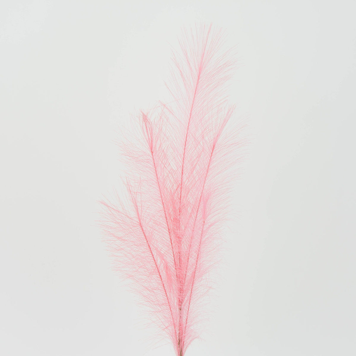 Koristeheinä – koristeheinä, 80 cm