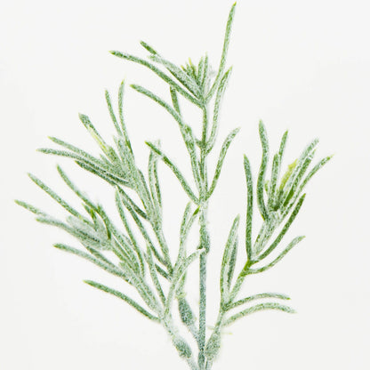 Koristeoksa