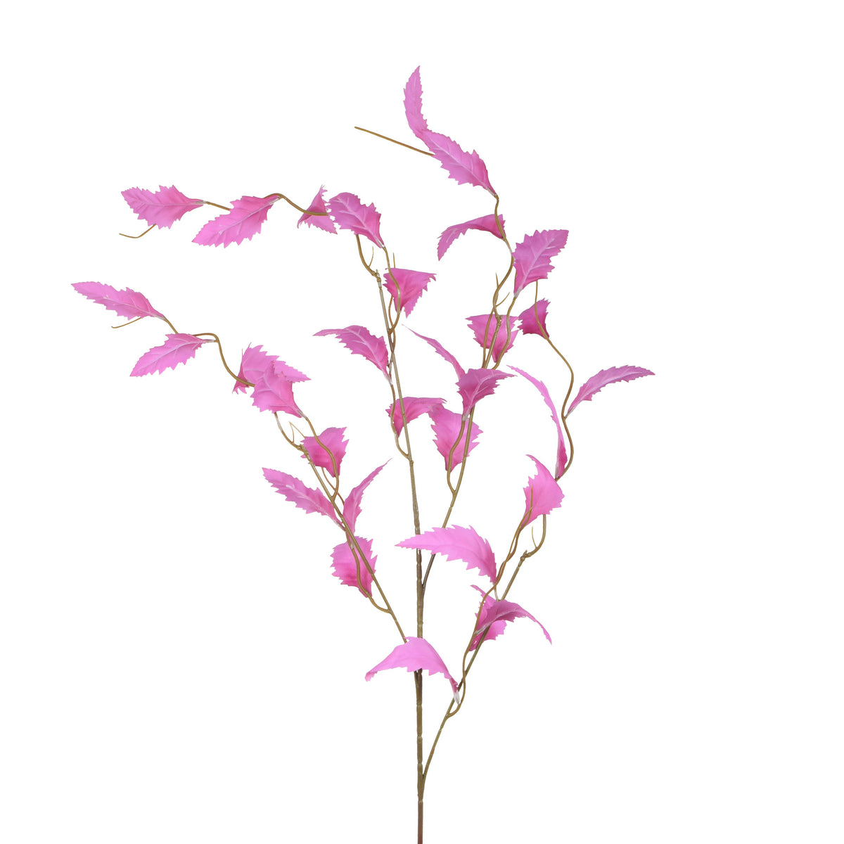 Koristeoksa, 105 cm