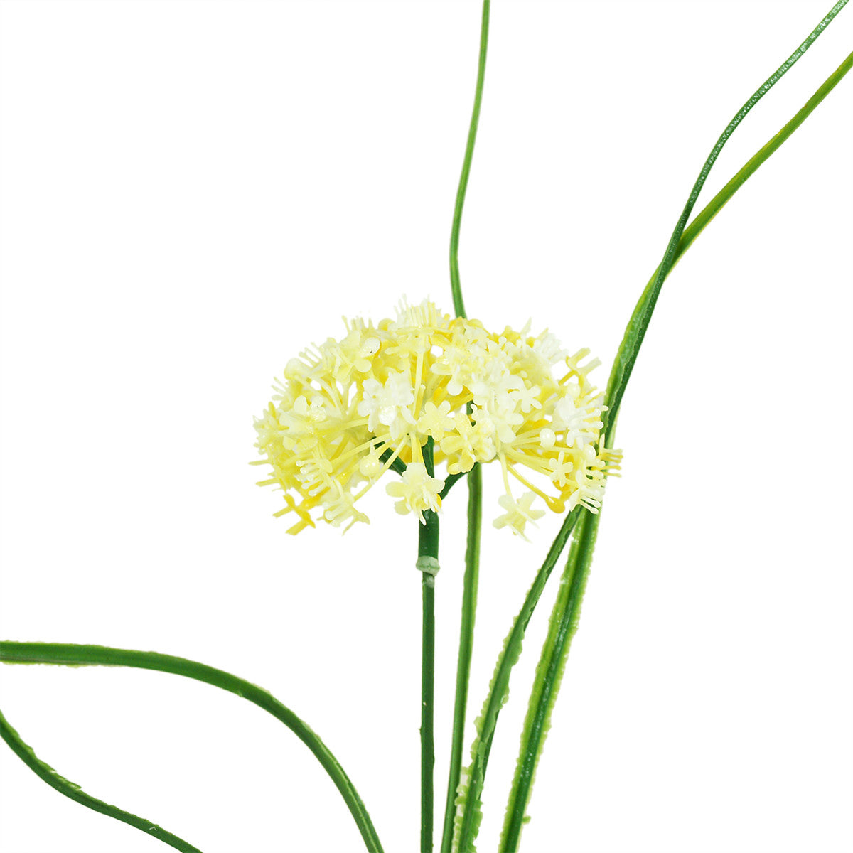 Koristeoksa, 31 cm