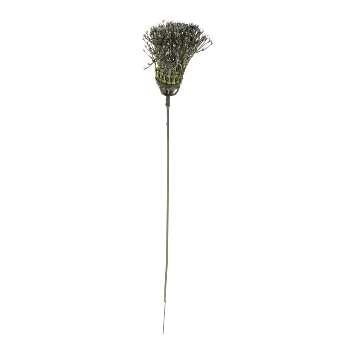 Koristeoksa, 37 cm