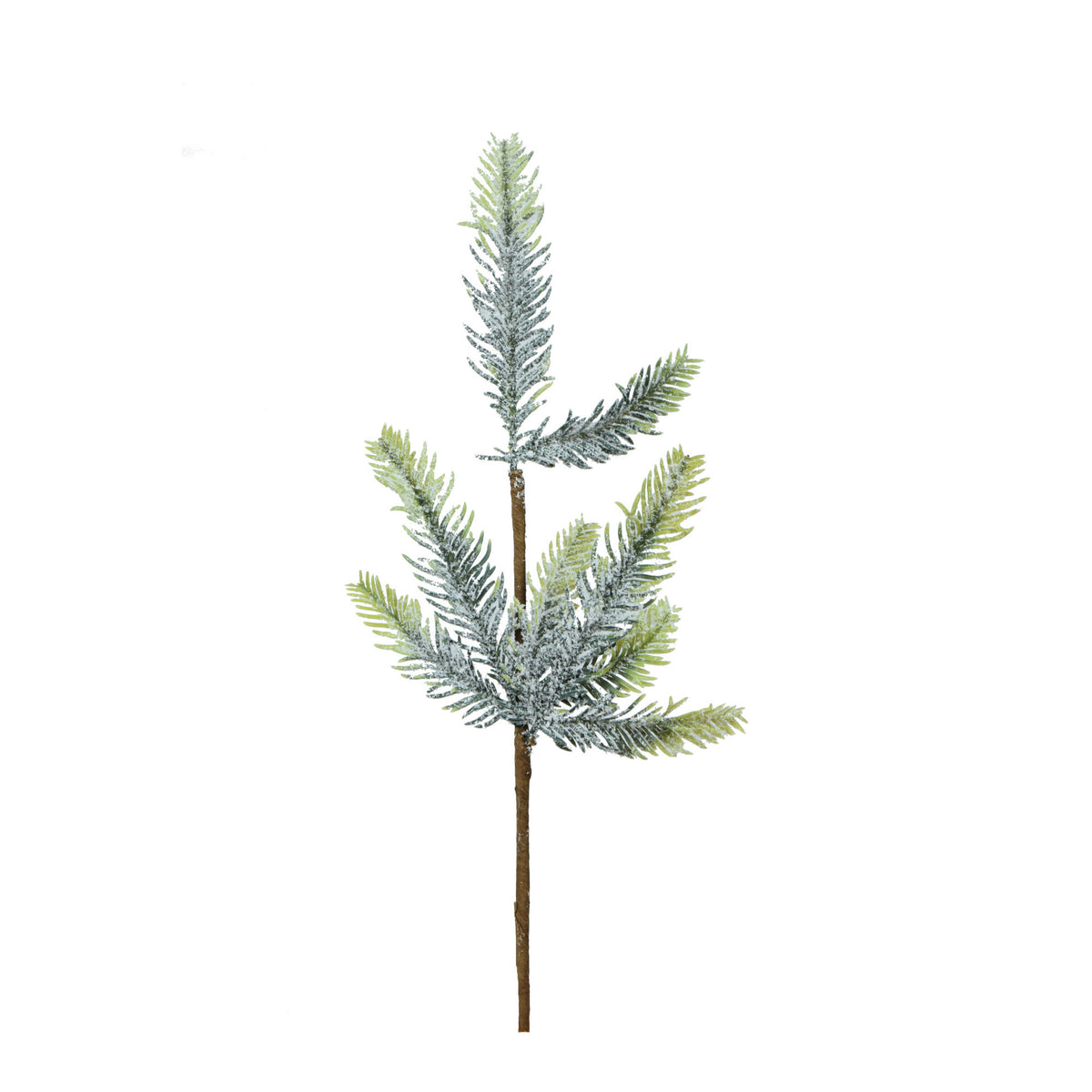 Koristeoksa, 38 cm