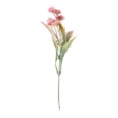 Koristeoksa, 39 cm