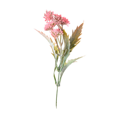 Koristeoksa, 39 cm