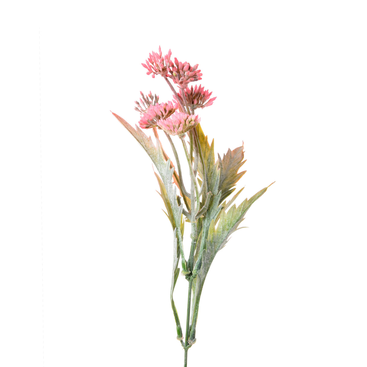 Koristeoksa, 39 cm