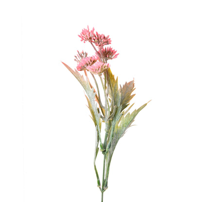Koristeoksa, 39 cm