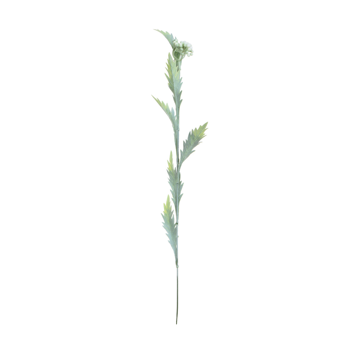 Koristeoksa, 53 cm