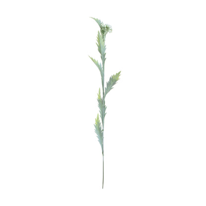 Koristeoksa, 53 cm