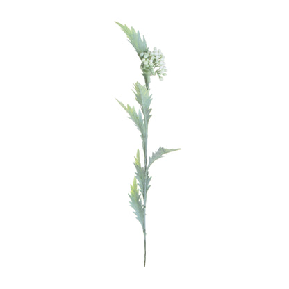 Koristeoksa, 53 cm