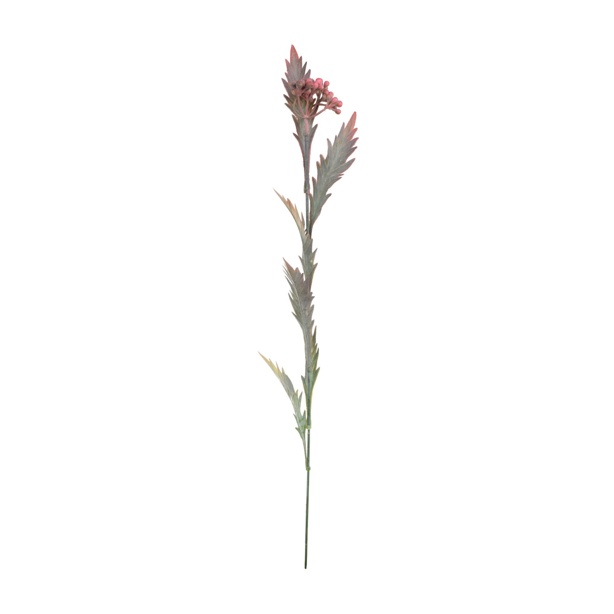 Koristeoksa, 53 cm