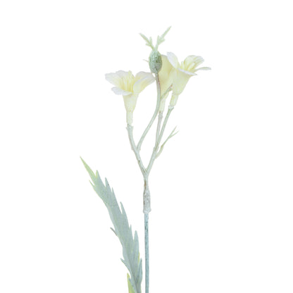 Koristeoksa, 59 cm