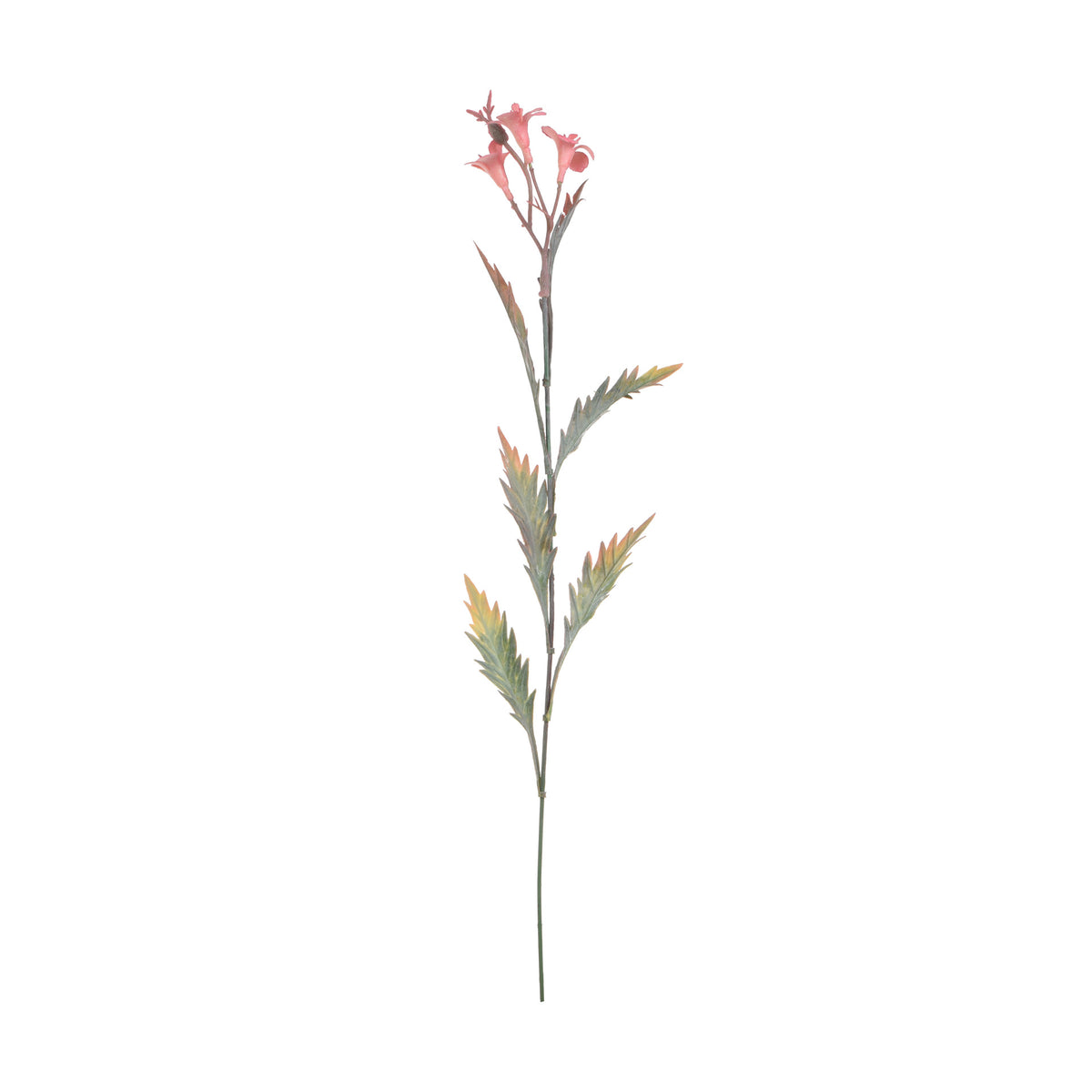 Koristeoksa, 59 cm