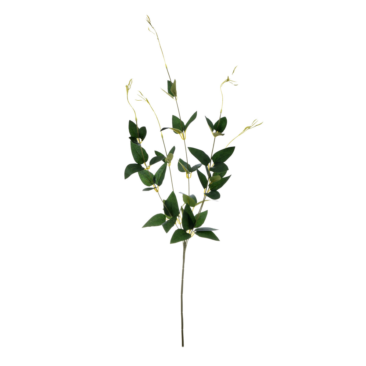 Koristeoksa, 70 cm